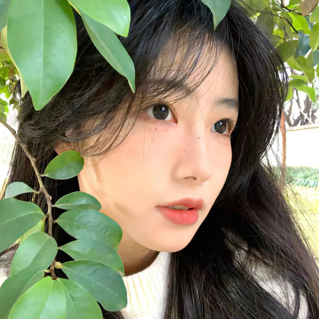 黑色四七